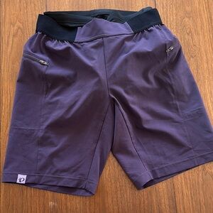 Pearl Izumi Purple Mountain bike shorts with liner.
